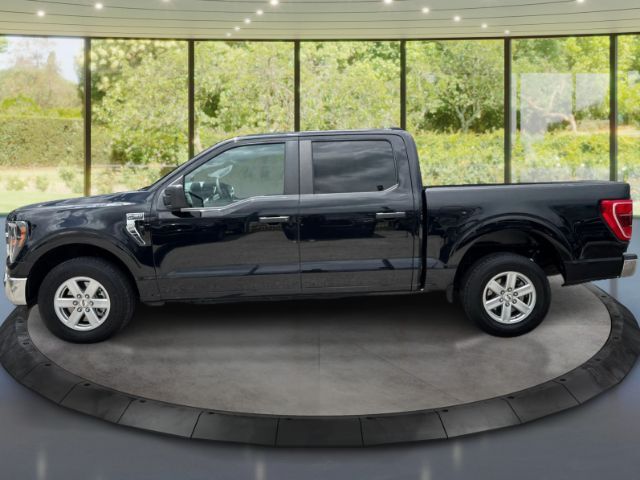 2023 Ford F-150 XLT Houston TX