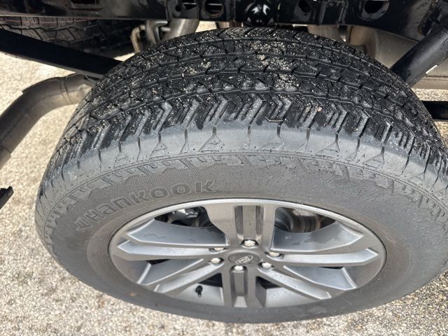 2023 Ford F-150 XLT Random Lake WI