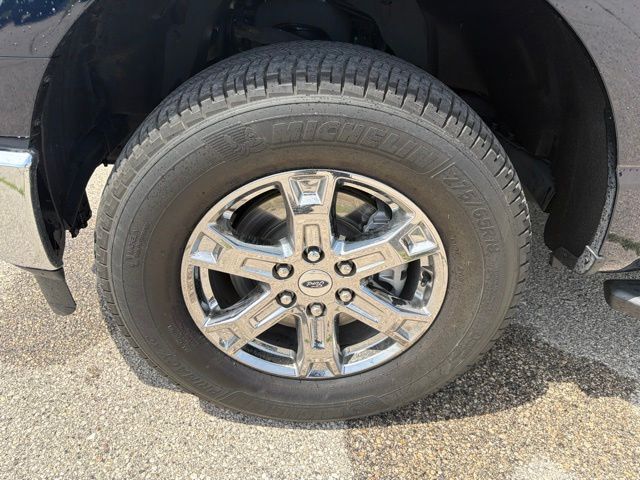 2023 Ford F-150 XLT Random Lake WI