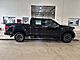 2023 Ford F-150 XLT Milwaukee WI