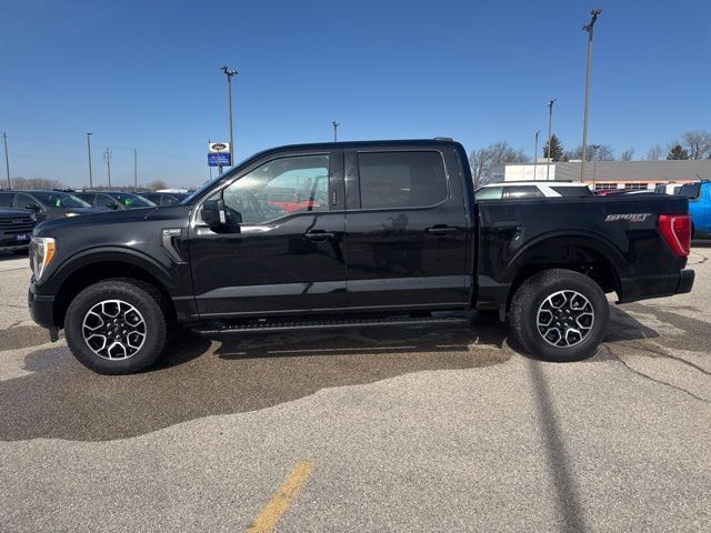 2023 Ford F-150 XLT Random Lake WI