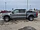 2023 Ford F-150 XLT Milwaukee WI