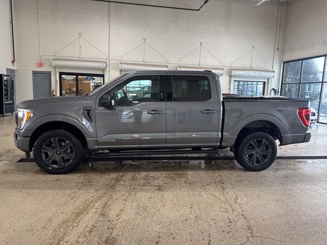 2023 Ford F-150 XLT Random Lake WI
