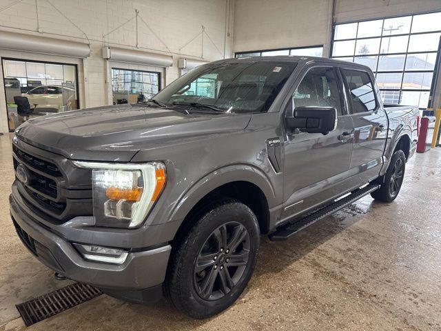 2023 Ford F-150 XLT Random Lake WI