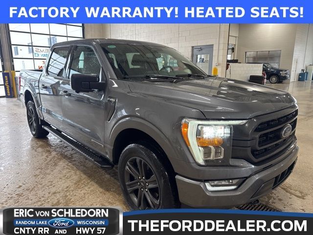 2023 Ford F-150 XLT