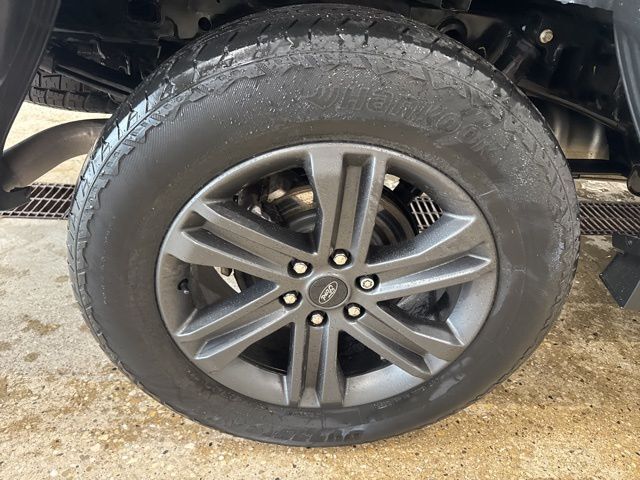 2023 Ford F-150 XLT Random Lake WI