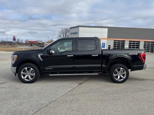 2023 Ford F-150 XLT Random Lake WI