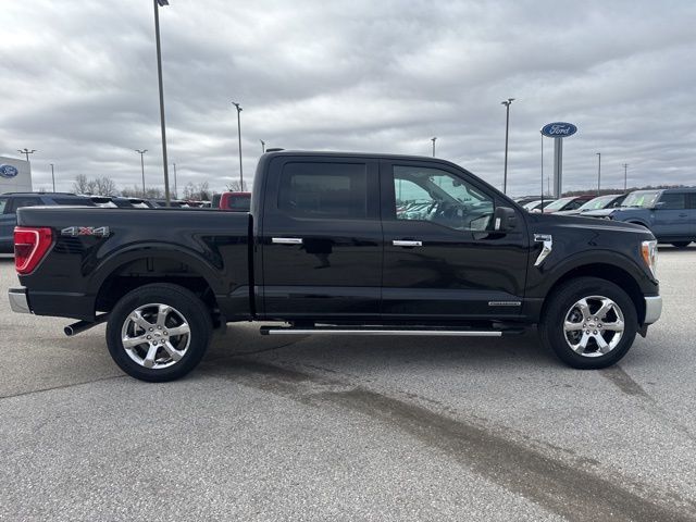 2023 Ford F-150 XLT Random Lake WI