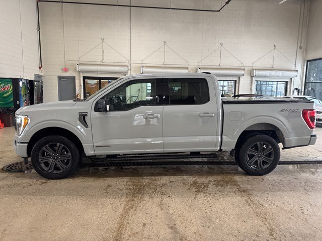 2023 Ford F-150 XLT Random Lake WI