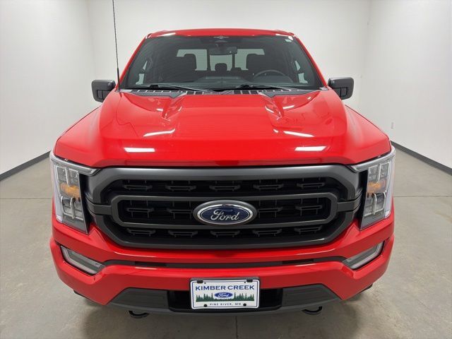 2023 Ford F-150 XLT Pine River MN