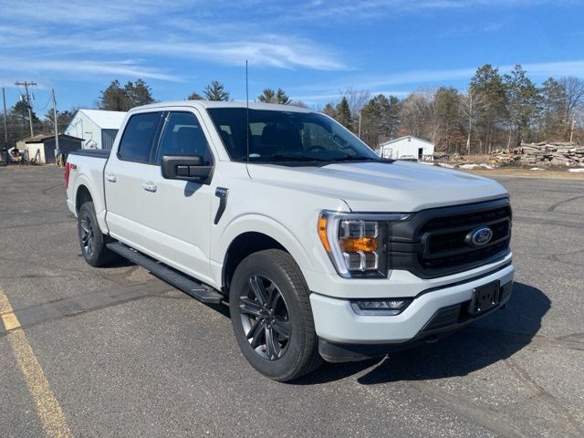 2023 Ford F-150 XLT Pine River MN