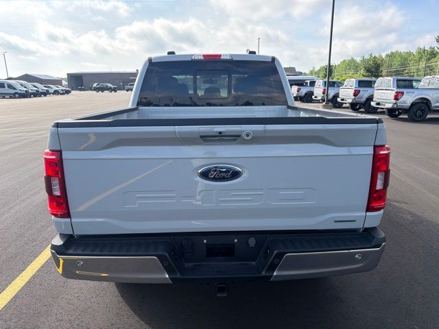 2023 Ford F-150 XLT Pine River MN