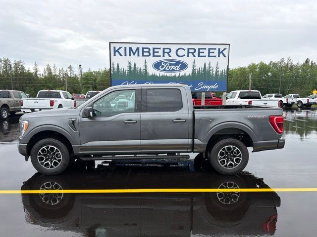 2023 Ford F-150 XLT Pine River MN