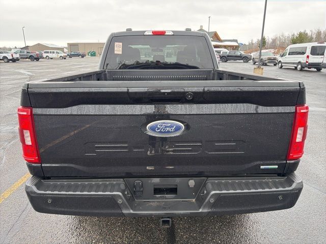 2023 Ford F-150 XLT Pine River MN