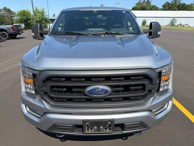 2023 Ford F-150 XLT Pine River MN