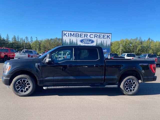 2023 Ford F-150 XLT Pine River MN