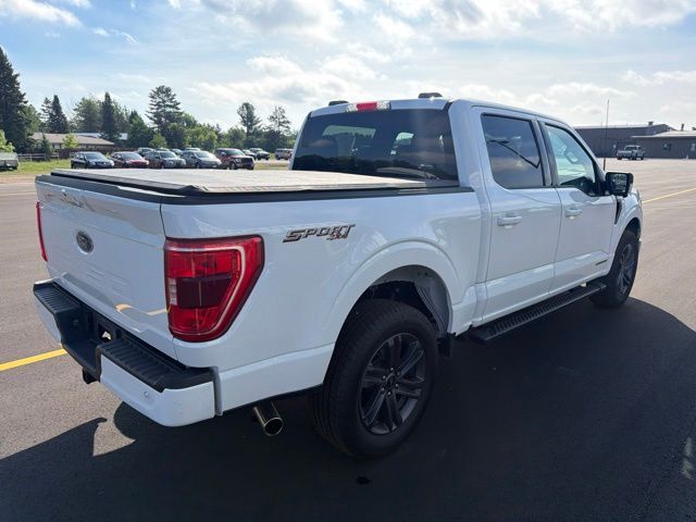 2023 Ford F-150 XLT Pine River MN