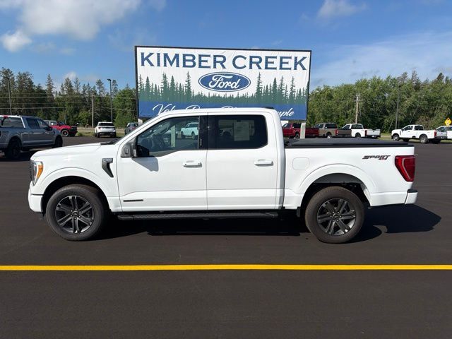 2023 Ford F-150 XLT Pine River MN