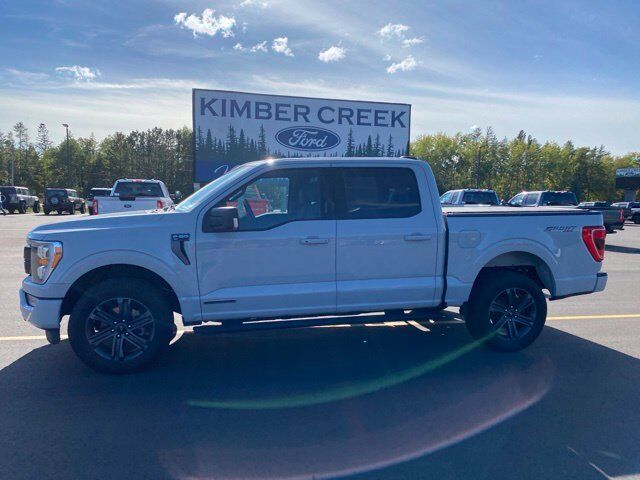 2023 Ford F-150 XLT Pine River MN