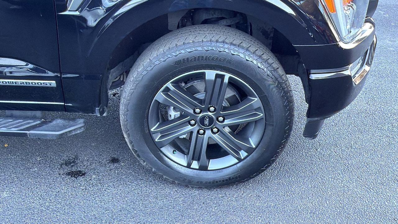 2023 Ford F-150 XLT San Antonio TX