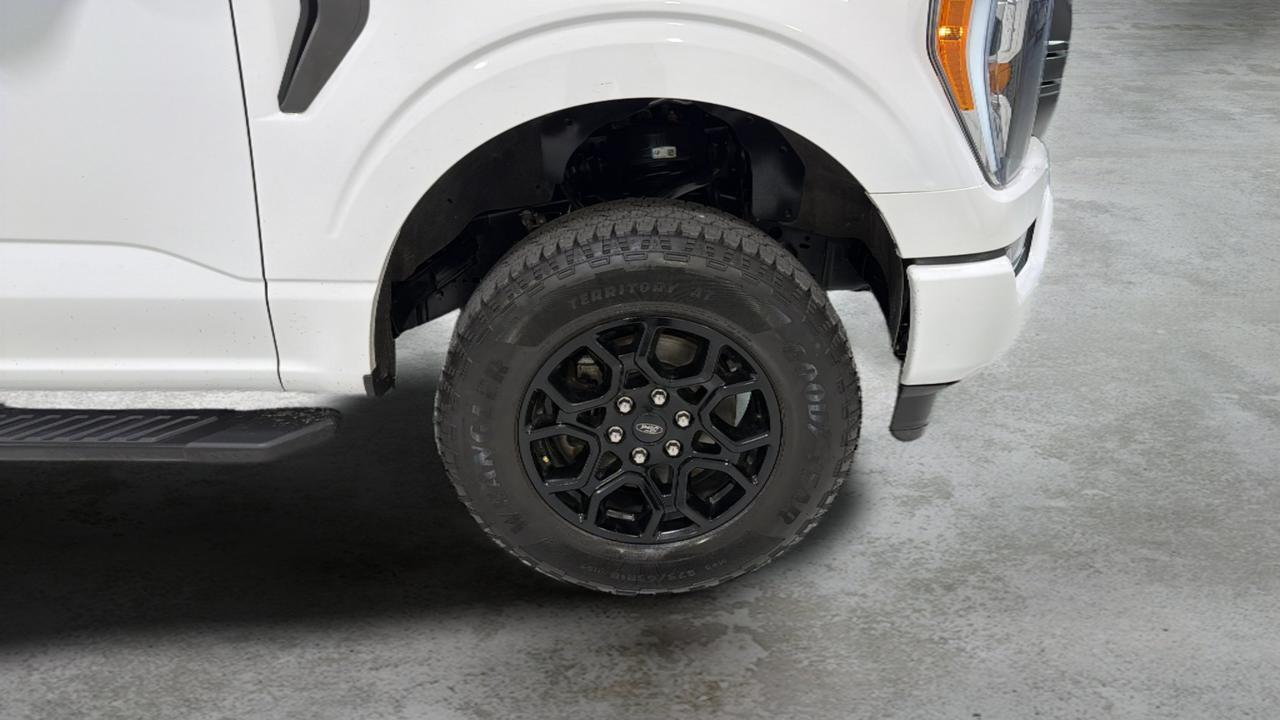 2023 Ford F-150 XLT San Antonio TX