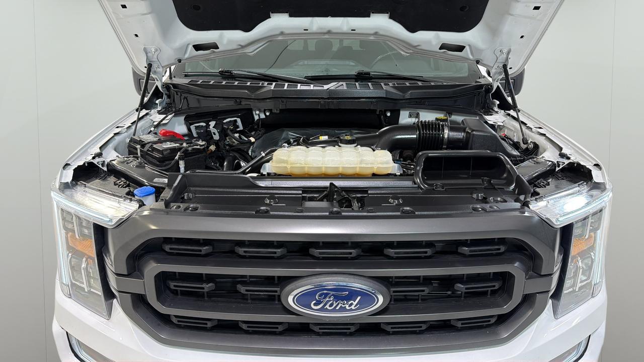 2023 Ford F-150 XLT San Antonio TX