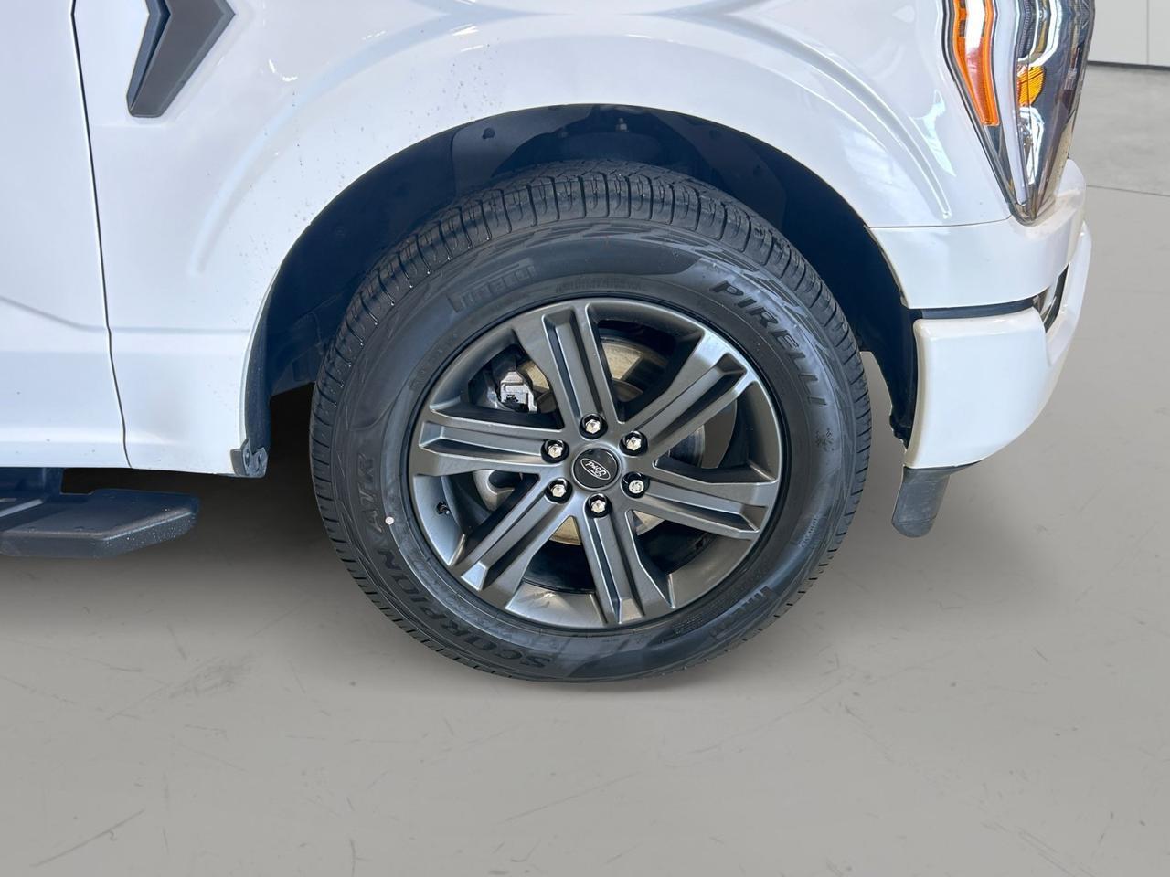 2023 Ford F-150 XLT New Braunfels TX
