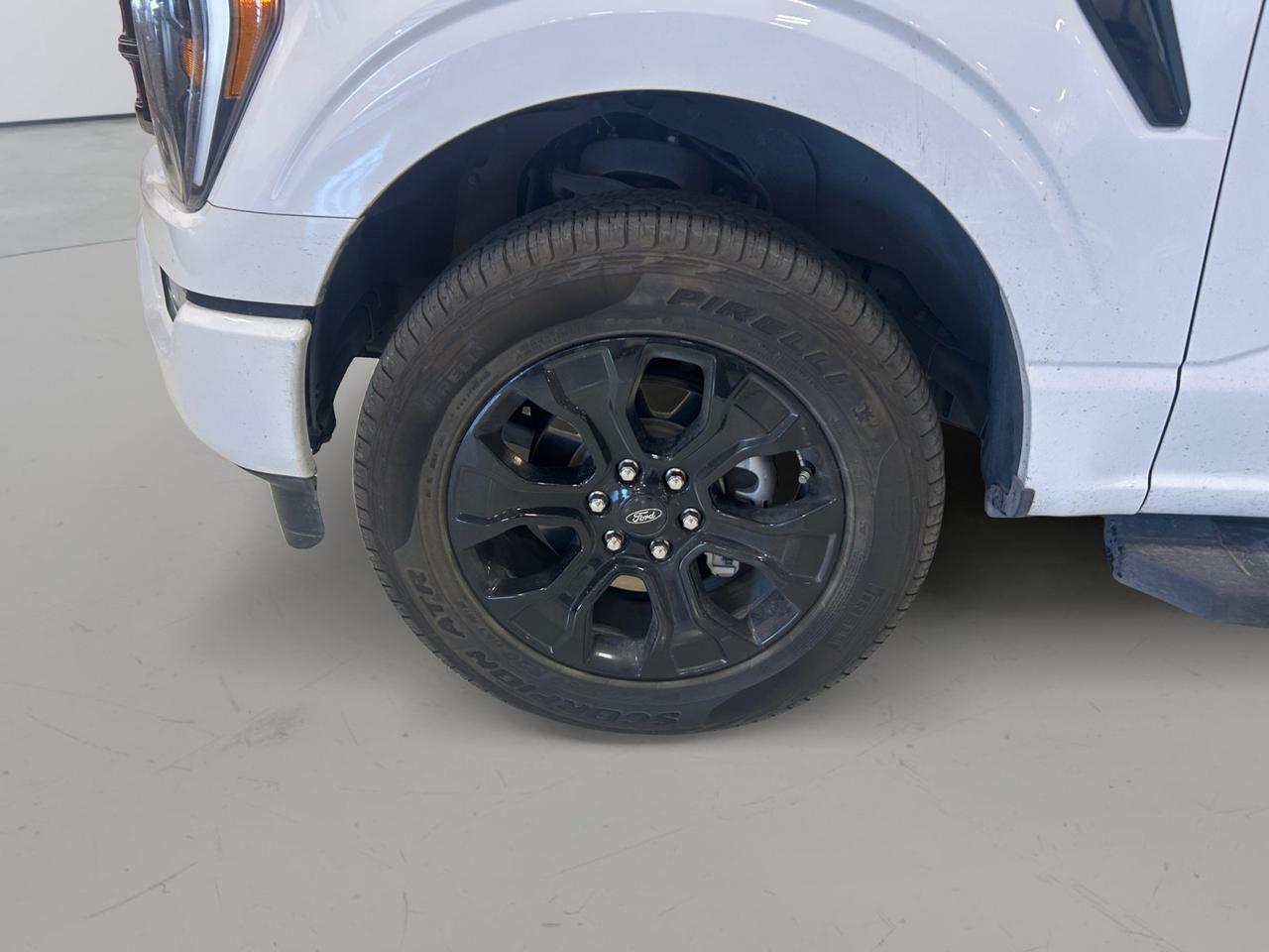 2023 Ford F-150 XLT New Braunfels TX
