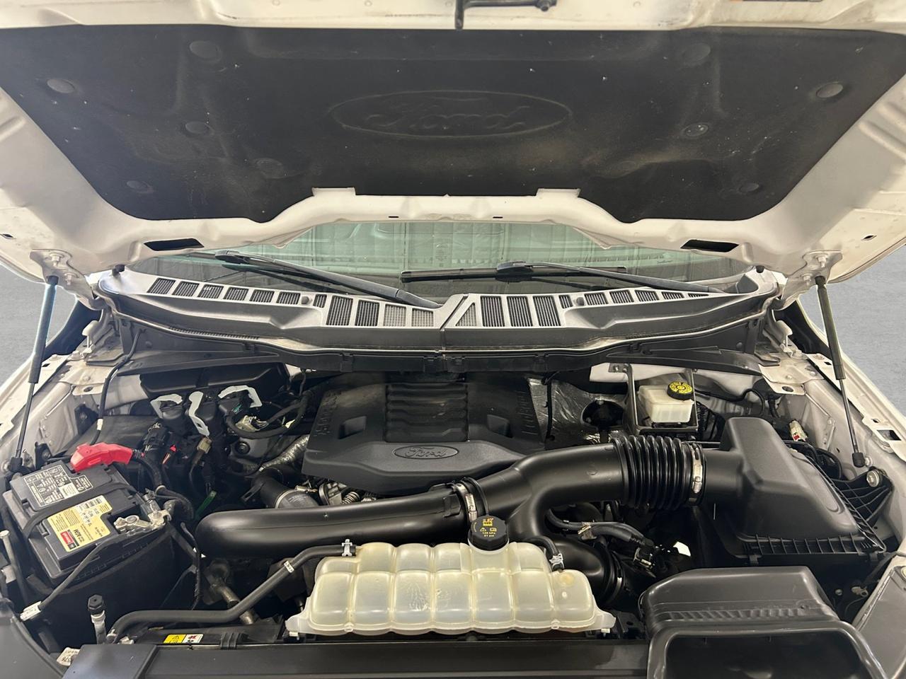 2023 Ford F-150 XLT New Braunfels TX