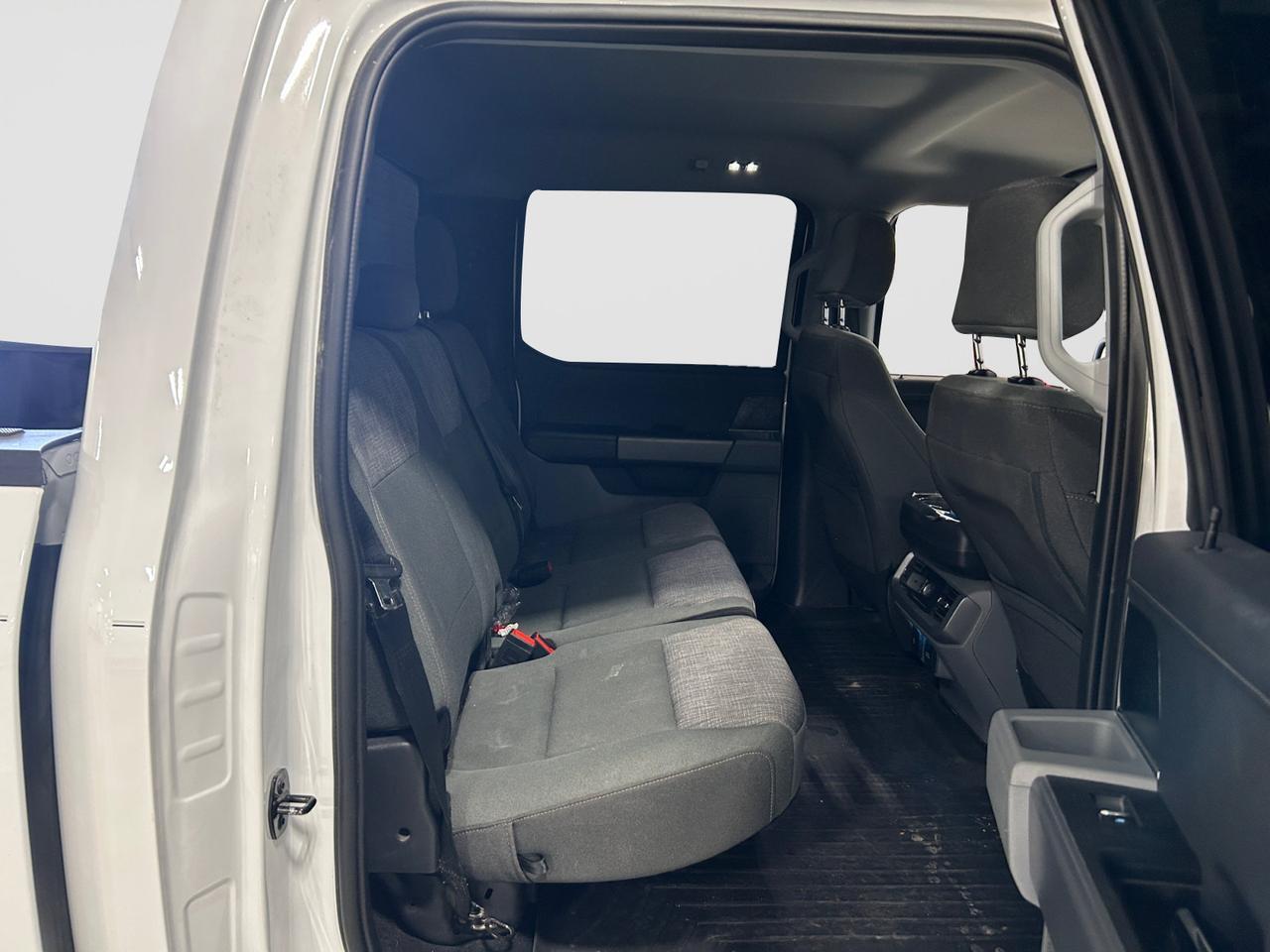2023 Ford F-150 XLT New Braunfels TX