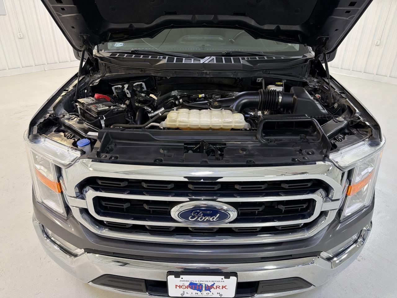 2023 Ford F-150 XLT San Antonio TX