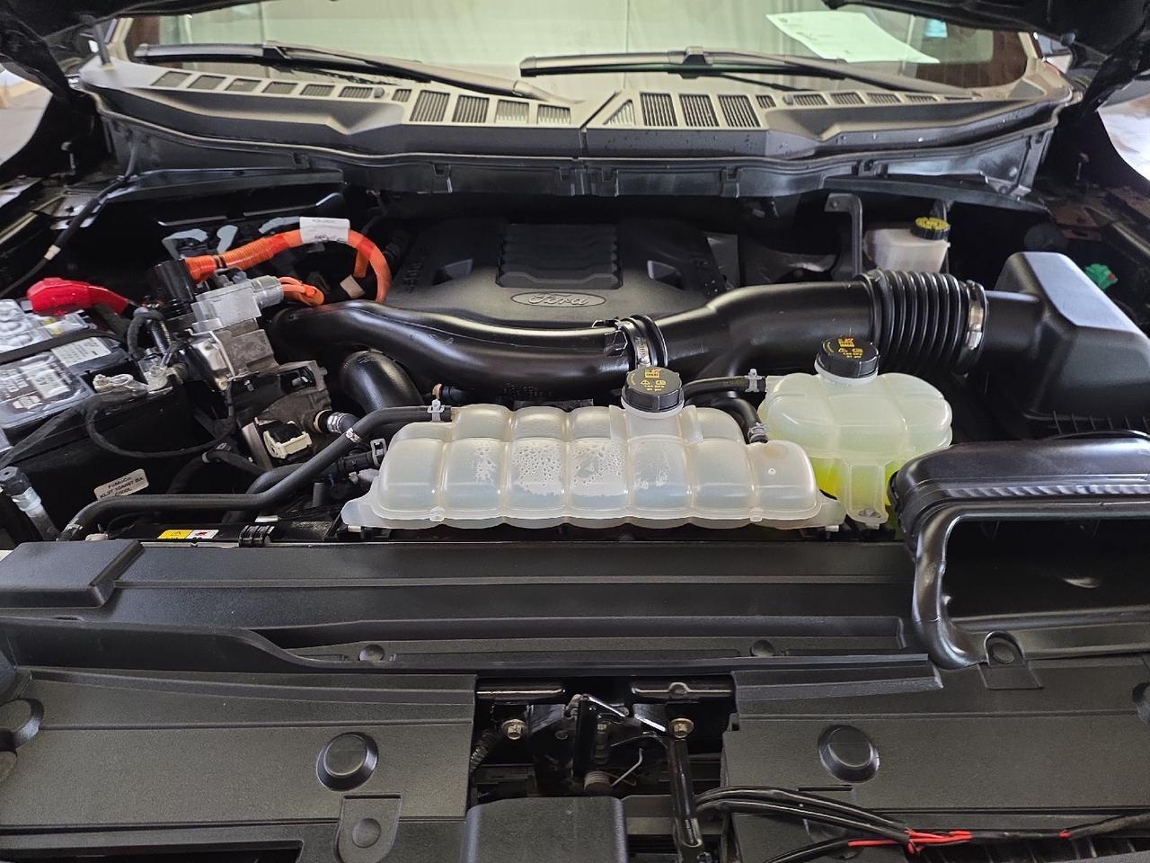 2023 Ford F-150 XLT Sand Lake NY