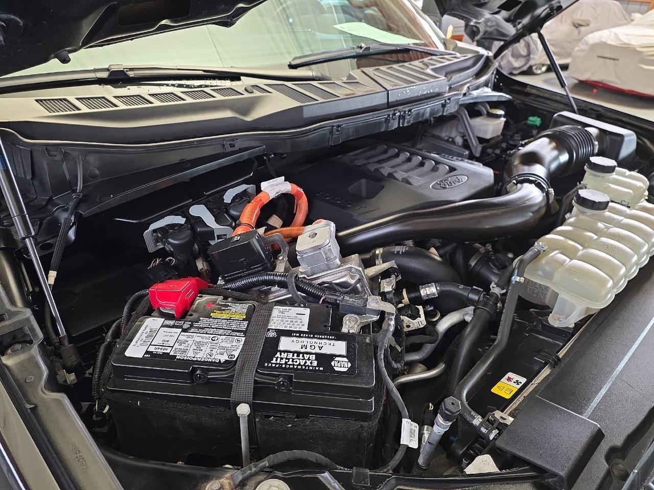 2023 Ford F-150 XLT Sand Lake NY