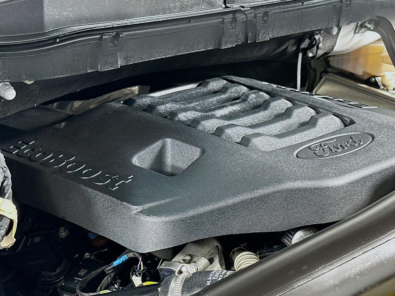 2023 Ford F-150 XLT Tacoma WA