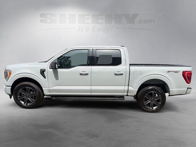 2023 Ford F-150 XLT Ashland VA