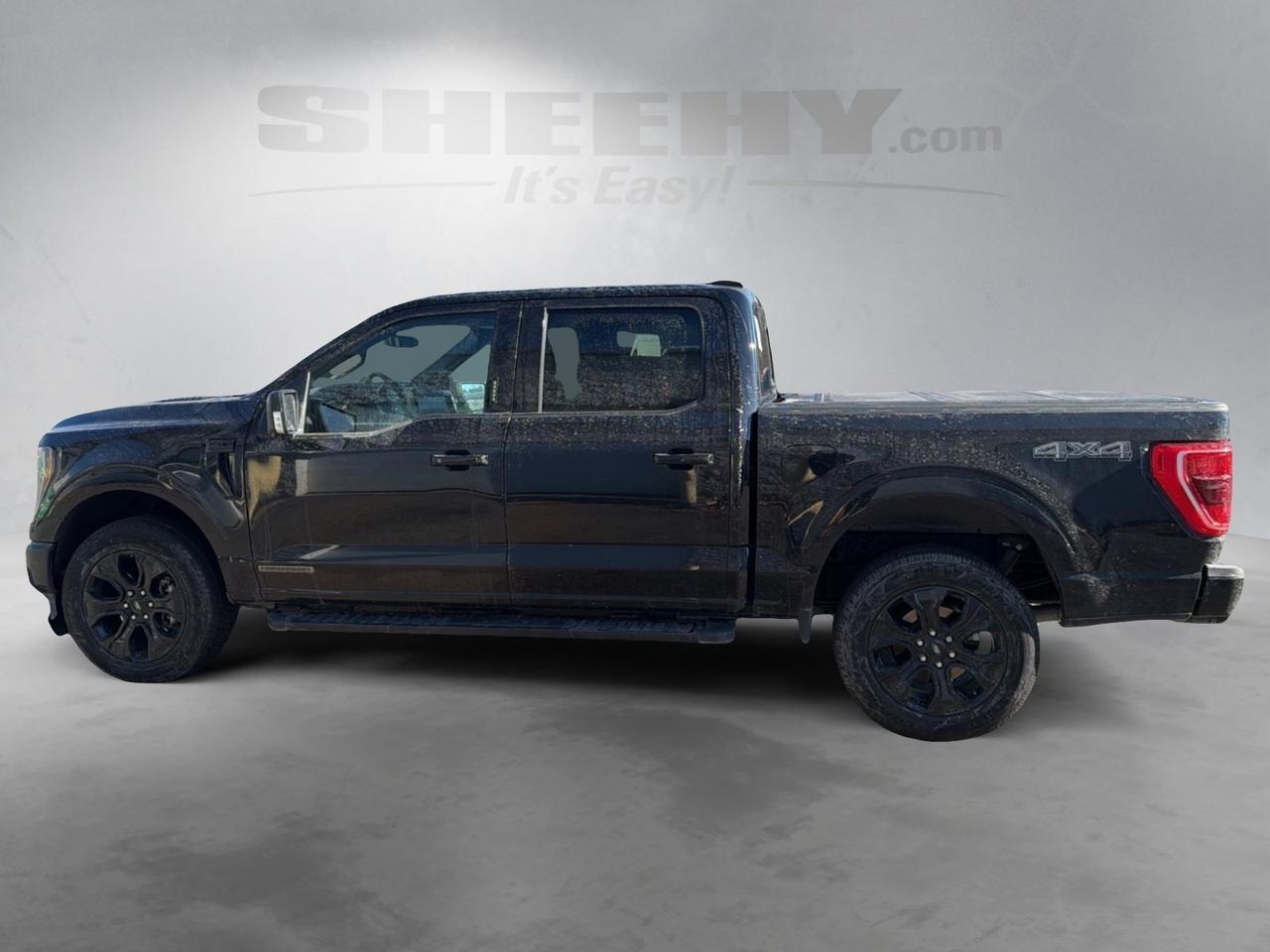 2023 Ford F-150 XLT Ashland VA
