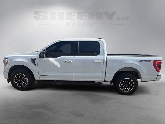 2023 Ford F-150 XLT Ashland VA