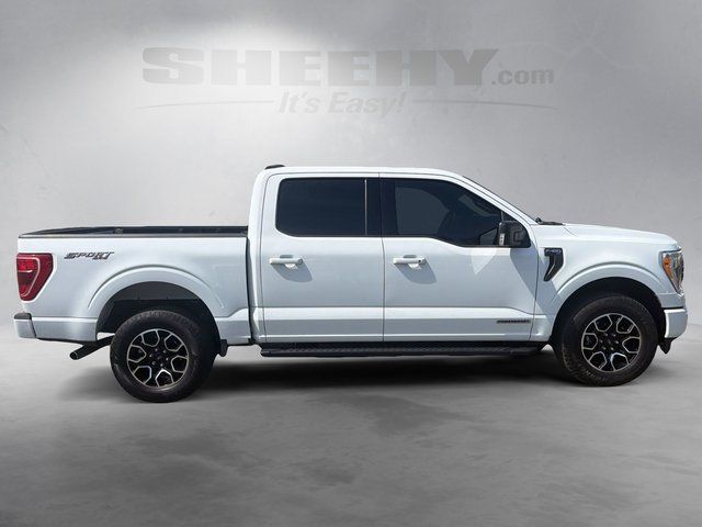 2023 Ford F-150 XLT Ashland VA