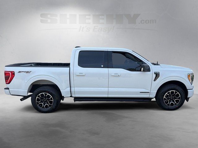 2023 Ford F-150 XLT Ashland VA
