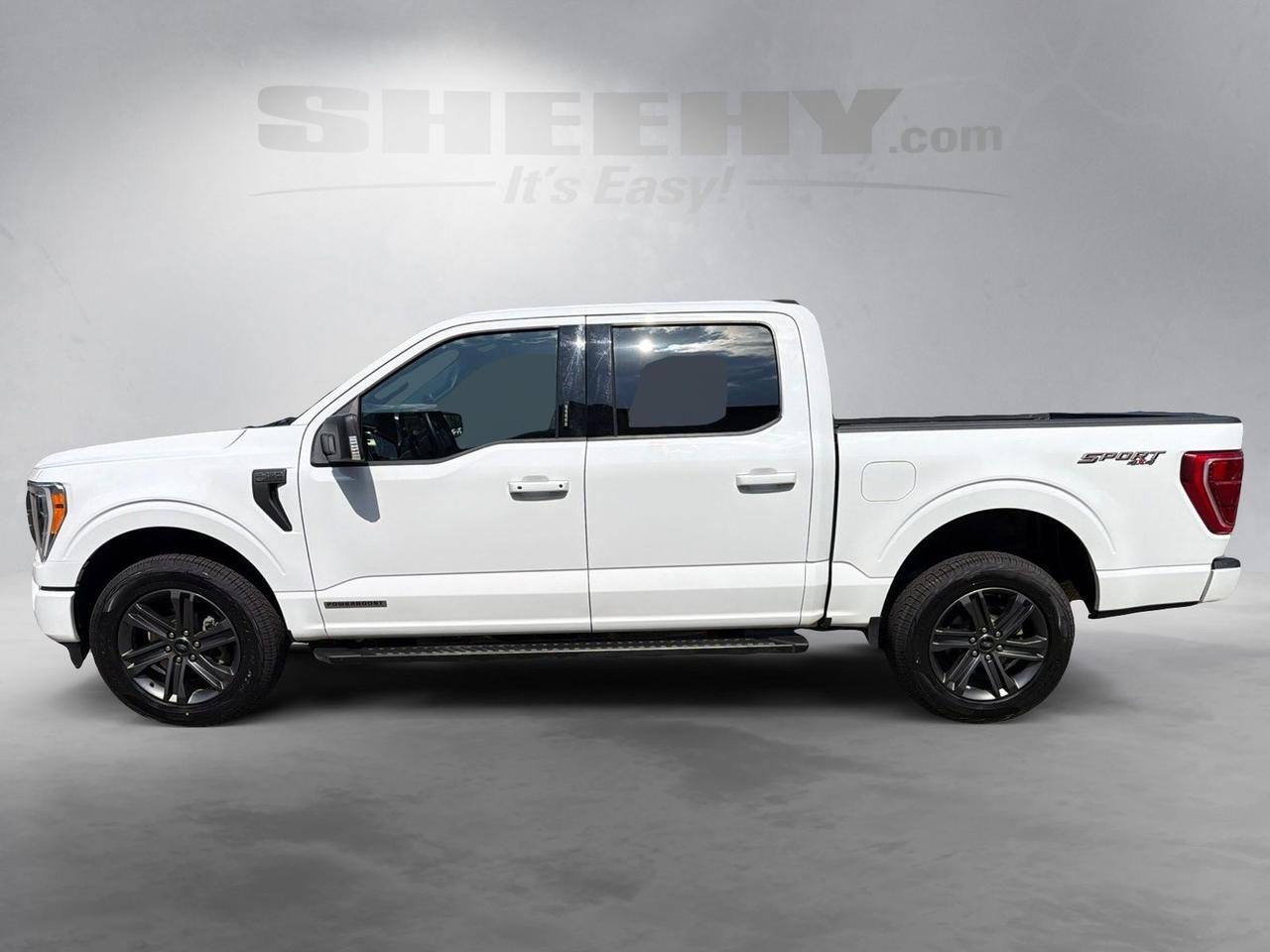 2023 Ford F-150 XLT Ashland VA