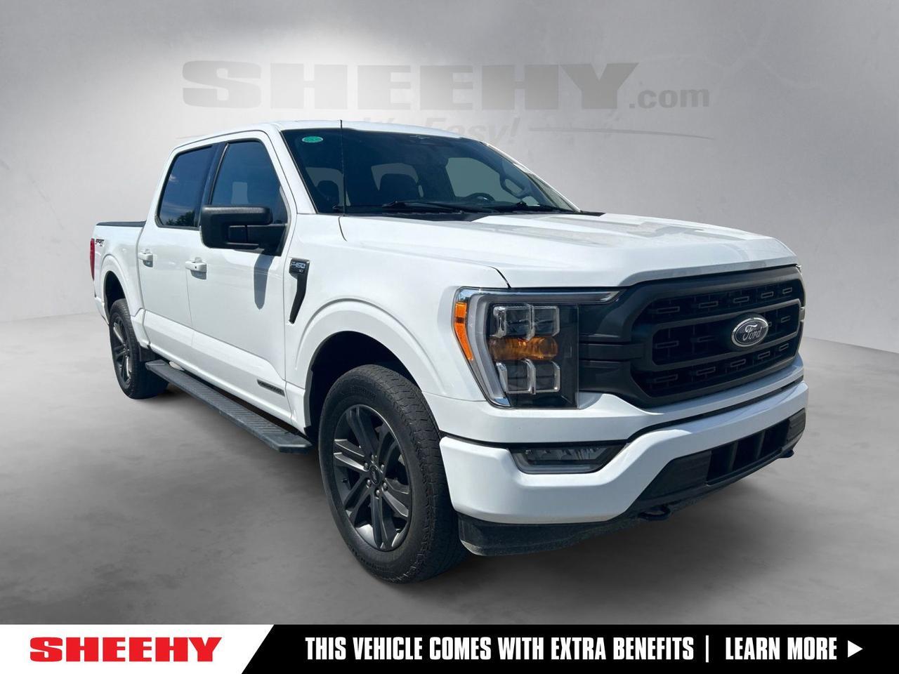 2023 Ford F-150