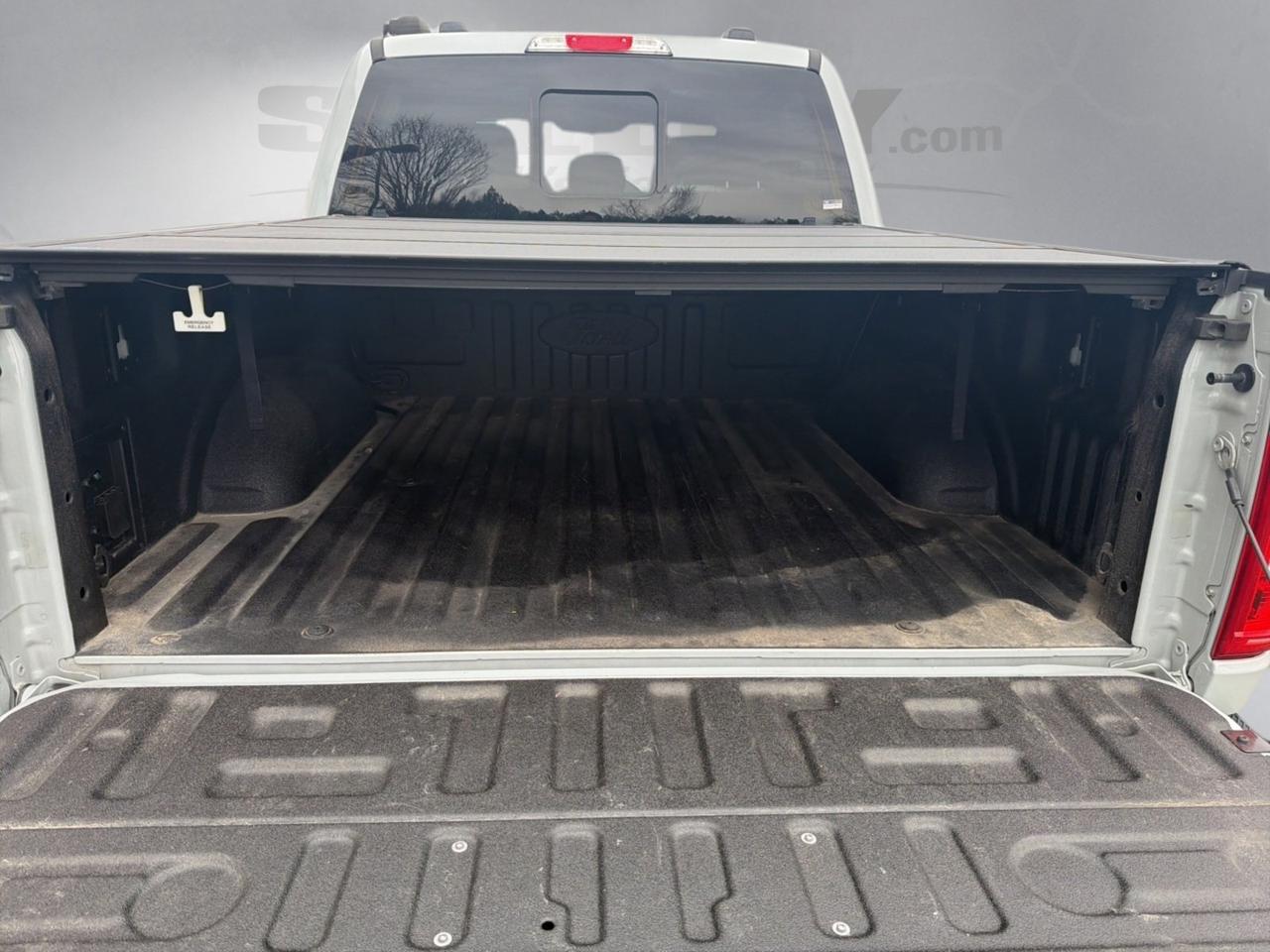 2023 Ford F-150 XLT Ashland VA