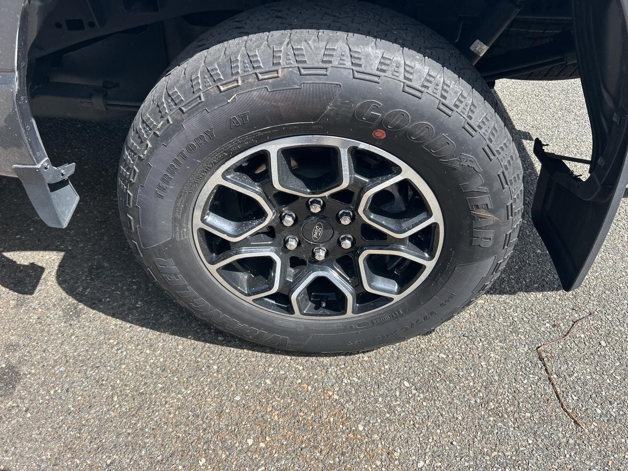 2023 Ford F-150 XLT Ashland VA