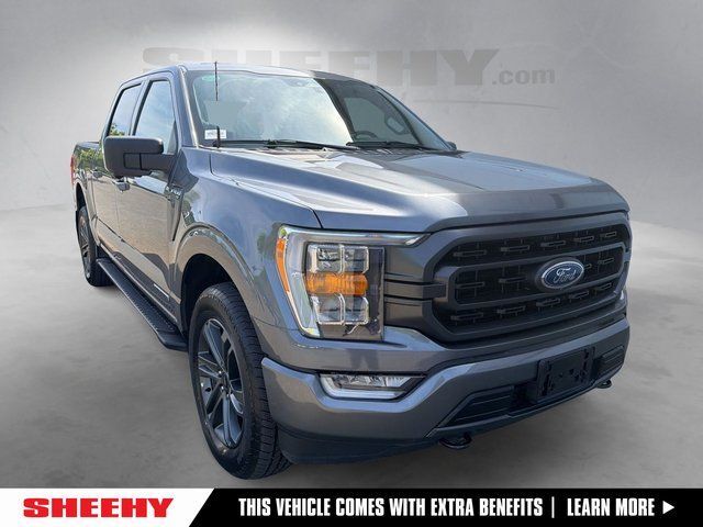2023 Ford F-150 XLT