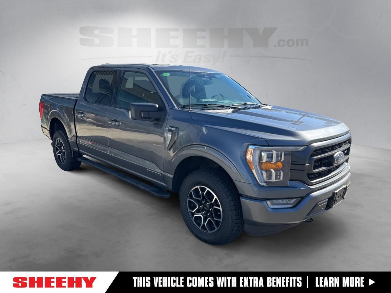 2023 Ford F-150 XLT