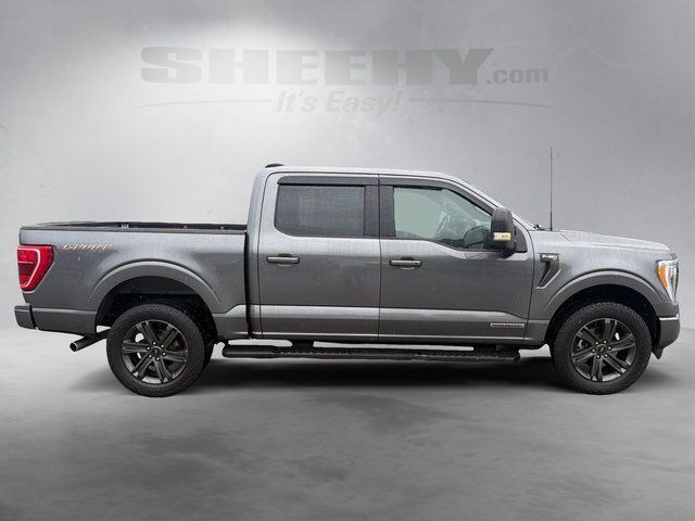 2023 Ford F-150 XLT Ashland VA
