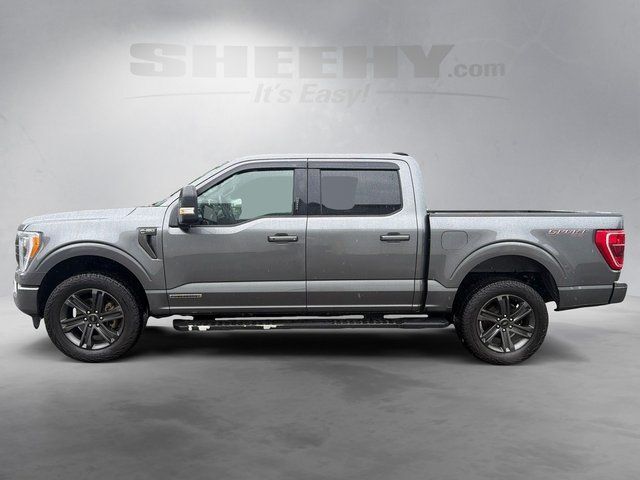 2023 Ford F-150 XLT Ashland VA