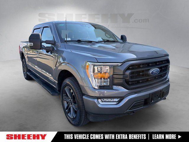 2023 Ford F-150