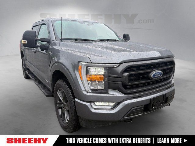 2023 Ford F-150