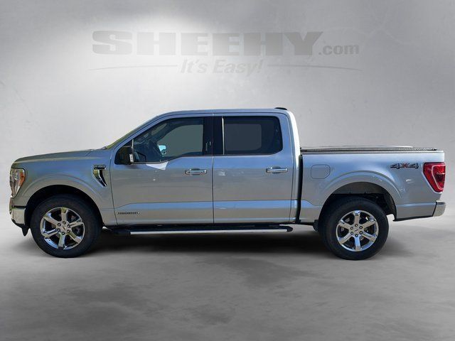 2023 Ford F-150 XLT Ashland VA